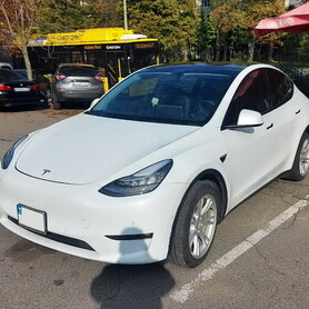 383 Tesla Model Y машина на свадьбу - авто на свадьбу в Киеве - портфолио 1