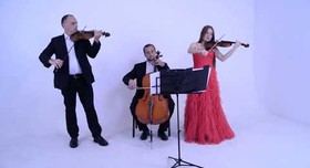 Струнное трио "Primavera" - музыканты, dj в Киеве - портфолио 6