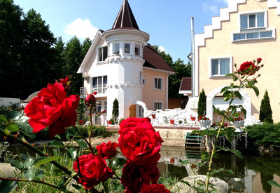 Villa Rose (Вилла Роз Житомир) - фото 1