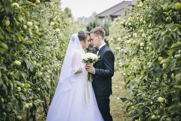 Wedding Vladimir and Catherine - фото №5