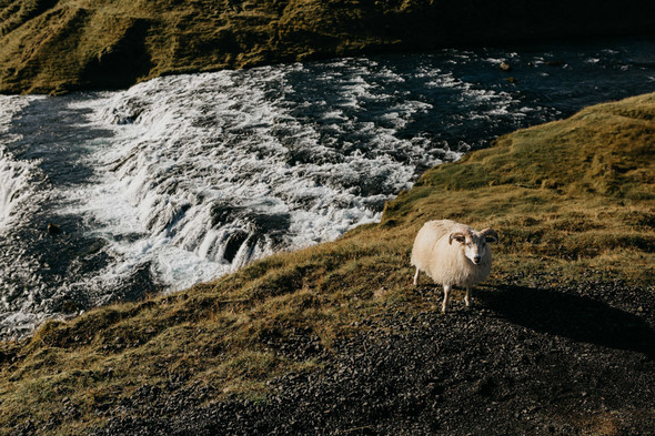 Послесвадебные приключения в Исландии - фото №53