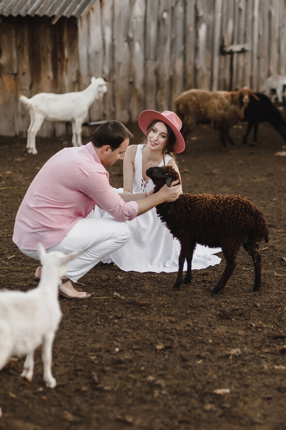 Sheepland lovestory - фото №30