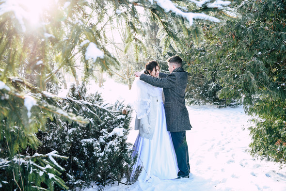 Снежная свадьба - фото №24