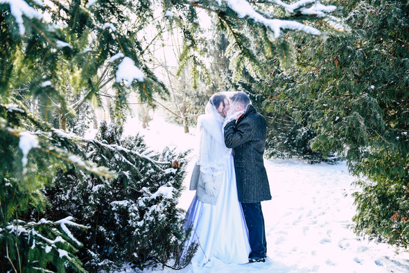 Снежная свадьба - фото №23