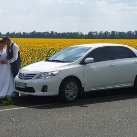 Toyota Corolla - авто на свадьбу в Славянске - портфолио 1