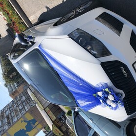 Skoda Octavia A7 - авто на свадьбу в Запорожье - портфолио 4
