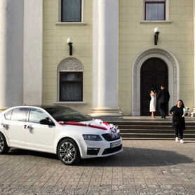 Skoda Octavia A7 - авто на свадьбу в Запорожье - портфолио 3