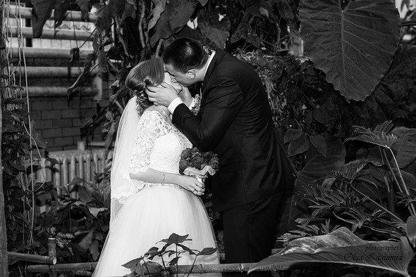 Свадьба Дениса и Иры  - фото №51