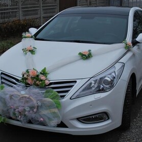 Hyundai Grandeur - авто на свадьбу в Запорожье - портфолио 3