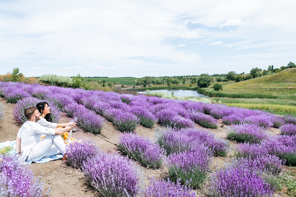 Day in Lavender - фото №23