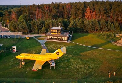 Yellow Plane - фото 3