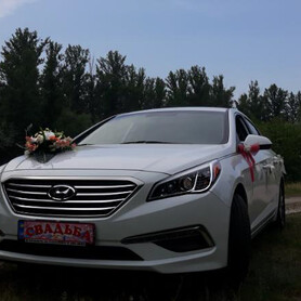 Hyundai Sonata - авто на свадьбу в Харькове - портфолио 3