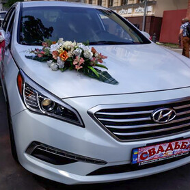 Hyundai Sonata - авто на свадьбу в Харькове - портфолио 1