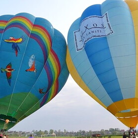 Полет на воздушном шаре Птички - авто на свадьбу в Киеве - портфолио 2