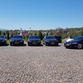 Tesla model S - авто на свадьбу в Ужгороде - портфолио 3