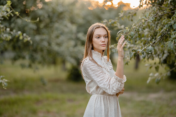 Яблуневий садок - фото №17