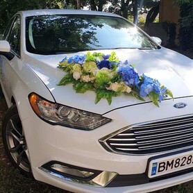 Форд ФЮЖН - авто на свадьбу в Сумах - портфолио 5
