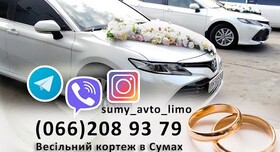 Форд ФЮЖН - авто на свадьбу в Сумах - портфолио 1
