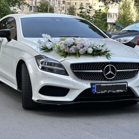MERCEDES CLS - авто на свадьбу в Днепре - портфолио 1