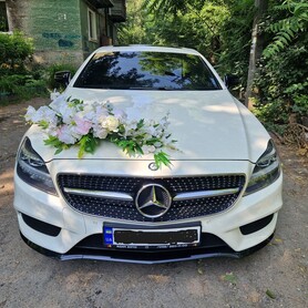 MERCEDES CLS - авто на свадьбу в Днепре - портфолио 4