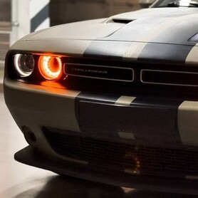421 Dodge Challenger 3.6 л без водія - авто на весілля
 у Києві - портфоліо 4