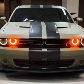 421 Dodge Challenger 3.6 л без водія - авто на весілля
 у Києві - портфоліо 2