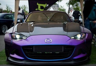 Ольга avtolimo - фото 2