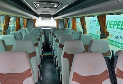 Ольга avtolimo - фото 3