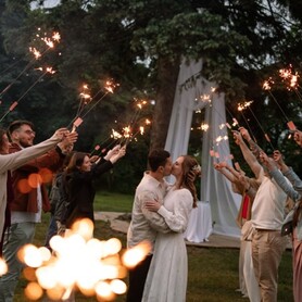 Рімма Дузенко - выездная церемония у Києві - портфоліо 3