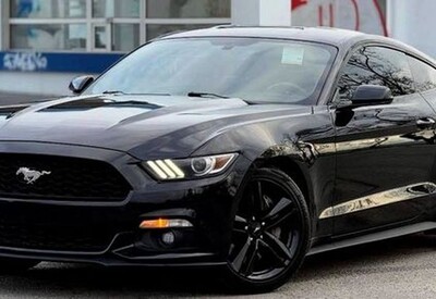 Ольга avtolimo - фото 2