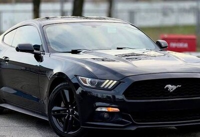 Ольга avtolimo - фото 1