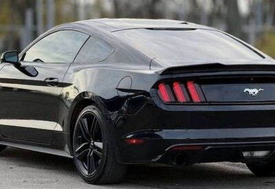 Ольга avtolimo - фото 3