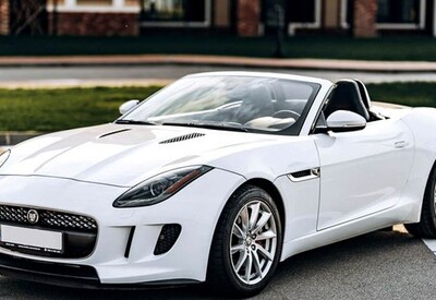 Ольга avtolimo - фото 2