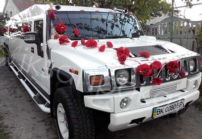 Давід Лімузин - фото 3