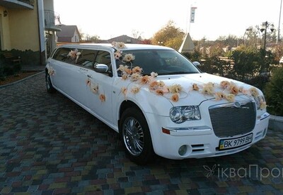 Давід Лімузини - фото 1