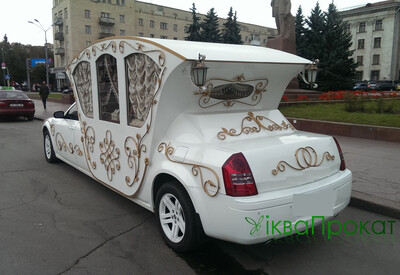 Давід Лімузини - фото 3