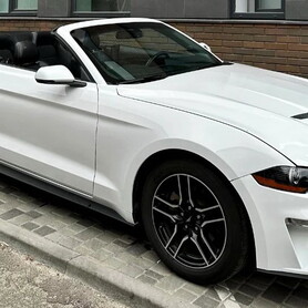 094 Прокат кабріолет Ford Mustang GT білий - авто на весілля
 у Києві - портфоліо 1