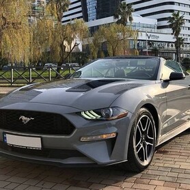 027 Прокат кабріолет Ford Mustang GT сірий - авто на весілля
 у Києві - портфоліо 3