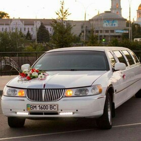 Свадебный Кортеж прокат Авто - авто на свадьбу в Сумах - портфолио 5