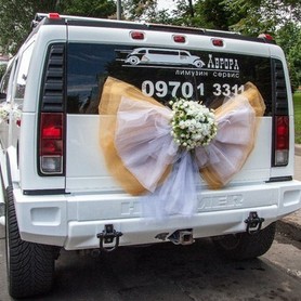 Hummer - авто на свадьбу в Киеве - портфолио 2