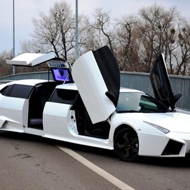 Lamborghini - авто на свадьбу в Киеве - портфолио 1