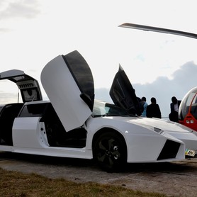 Lamborghini - авто на свадьбу в Киеве - портфолио 3