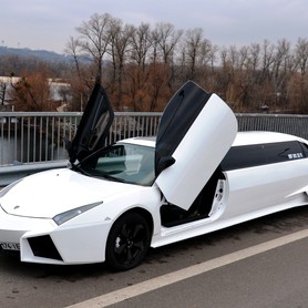 Lamborghini - авто на свадьбу в Киеве - портфолио 4
