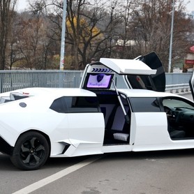 Lamborghini - авто на свадьбу в Киеве - портфолио 2