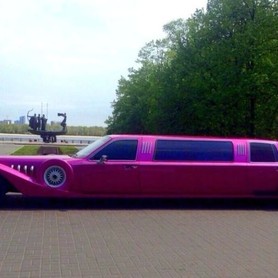 EXCALIBUR Phantom - авто на свадьбу в Киеве - портфолио 2
