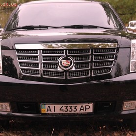 Cadillac Escalade - авто на свадьбу в Житомире - портфолио 4