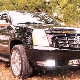 Cadillac Escalade - авто на свадьбу в Житомире - портфолио 1
