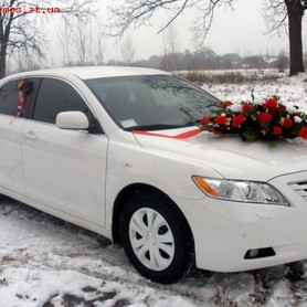 Toyota Camry - авто на свадьбу в Житомире - портфолио 1