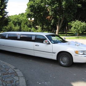 Lincoln Town Car Executive Series - авто на свадьбу в Полтаве - портфолио 3