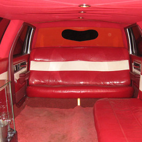 Oldsmobile - авто на свадьбу в Полтаве - портфолио 3